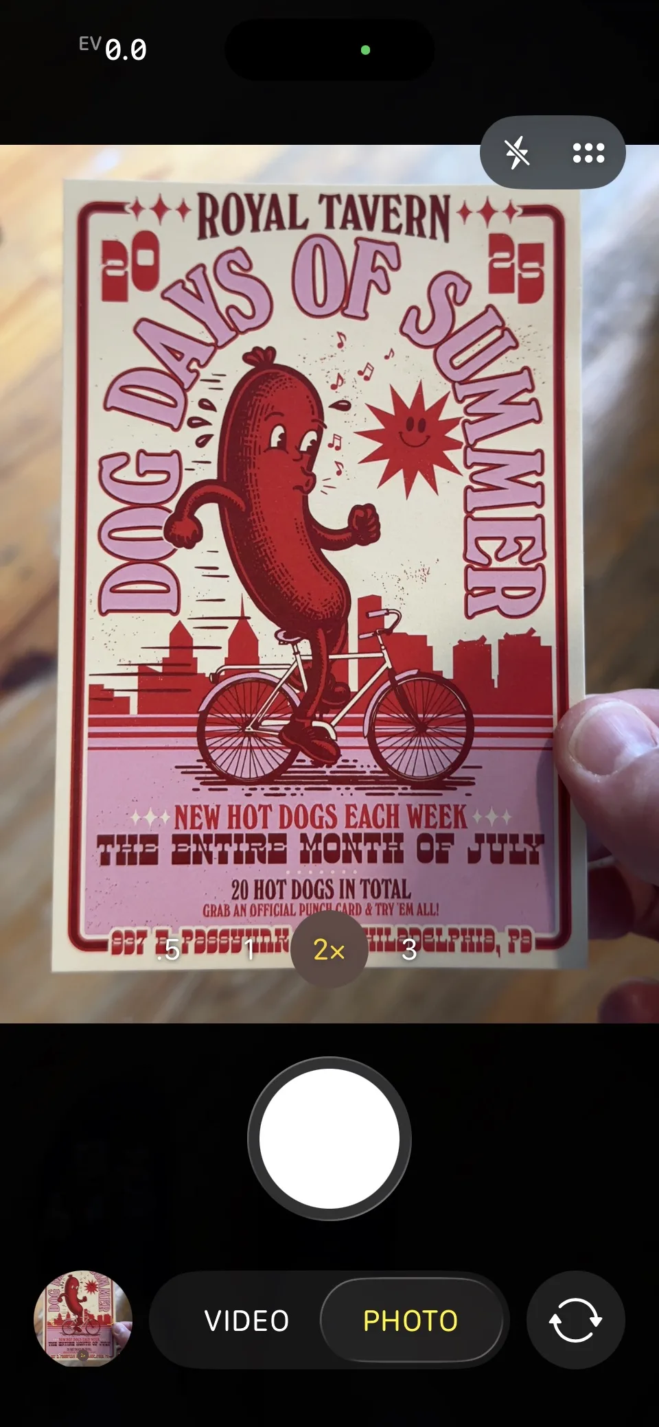 iPhone camera capturing a Dog Days of Summer event flyer